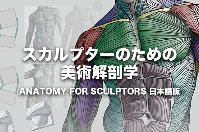 【新品】スカルプターのための美術解剖学