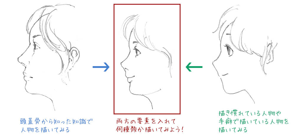 誰だって人が描きたい No 2 キャラ描き分けに効く 頭蓋骨スケッチ 特集 Cgworld Jp