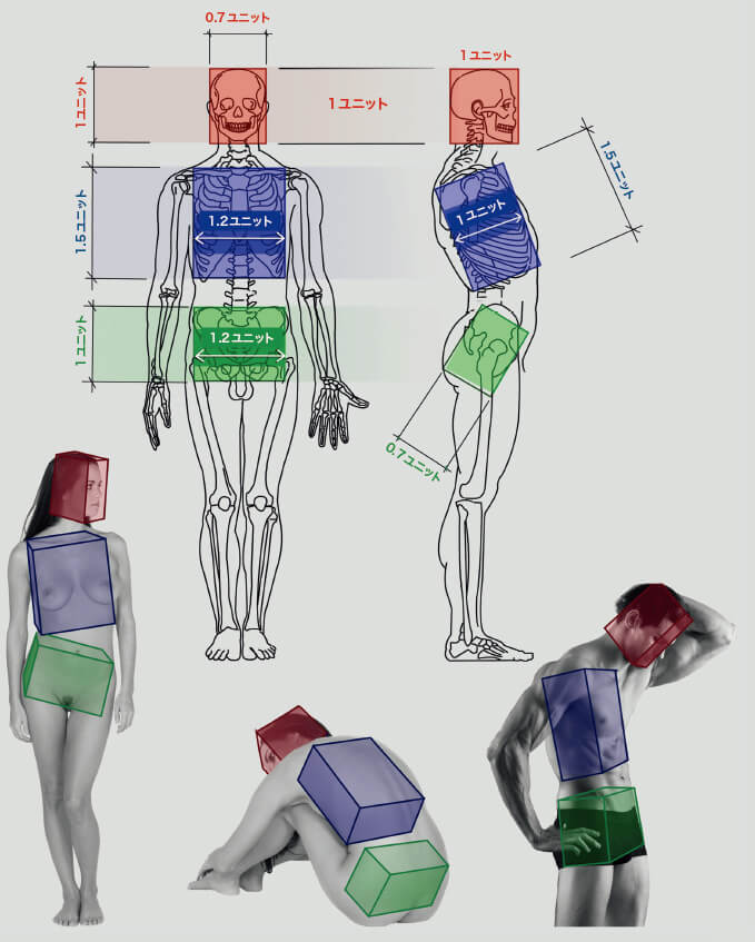 スカルプターのための美術解剖学 スカルプターのための美術解剖学 2 