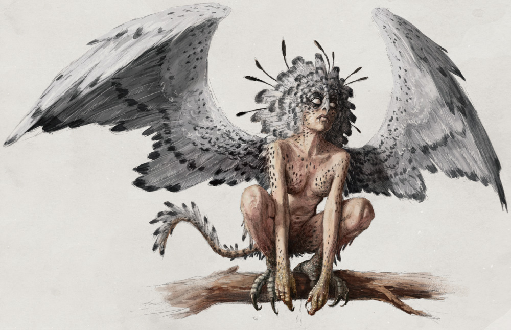 世界のアーティストたちによるモンスター クリーチャーの描き方 鳥のフォームをした風の悪魔 ハーピー 特集 Cgworld Jp