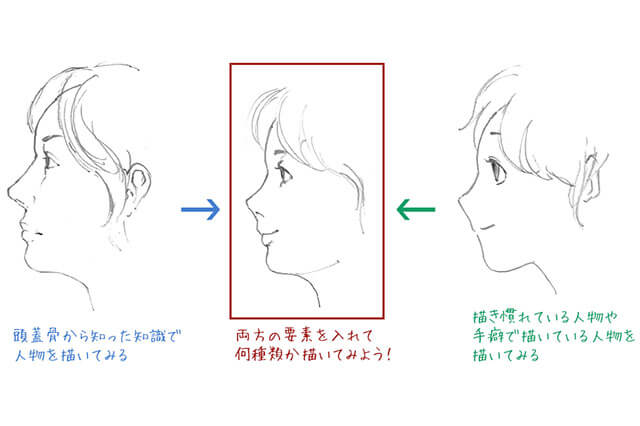 誰だって人が描きたい No 2 キャラ描き分けに効く 頭蓋骨スケッチ 特集 Cgworld Jp