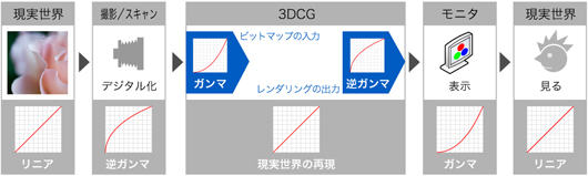 3DCG ソフトを介したデジタイズのながれ