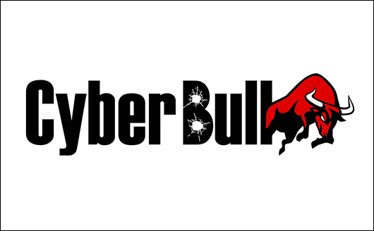 株式会社CyberBull