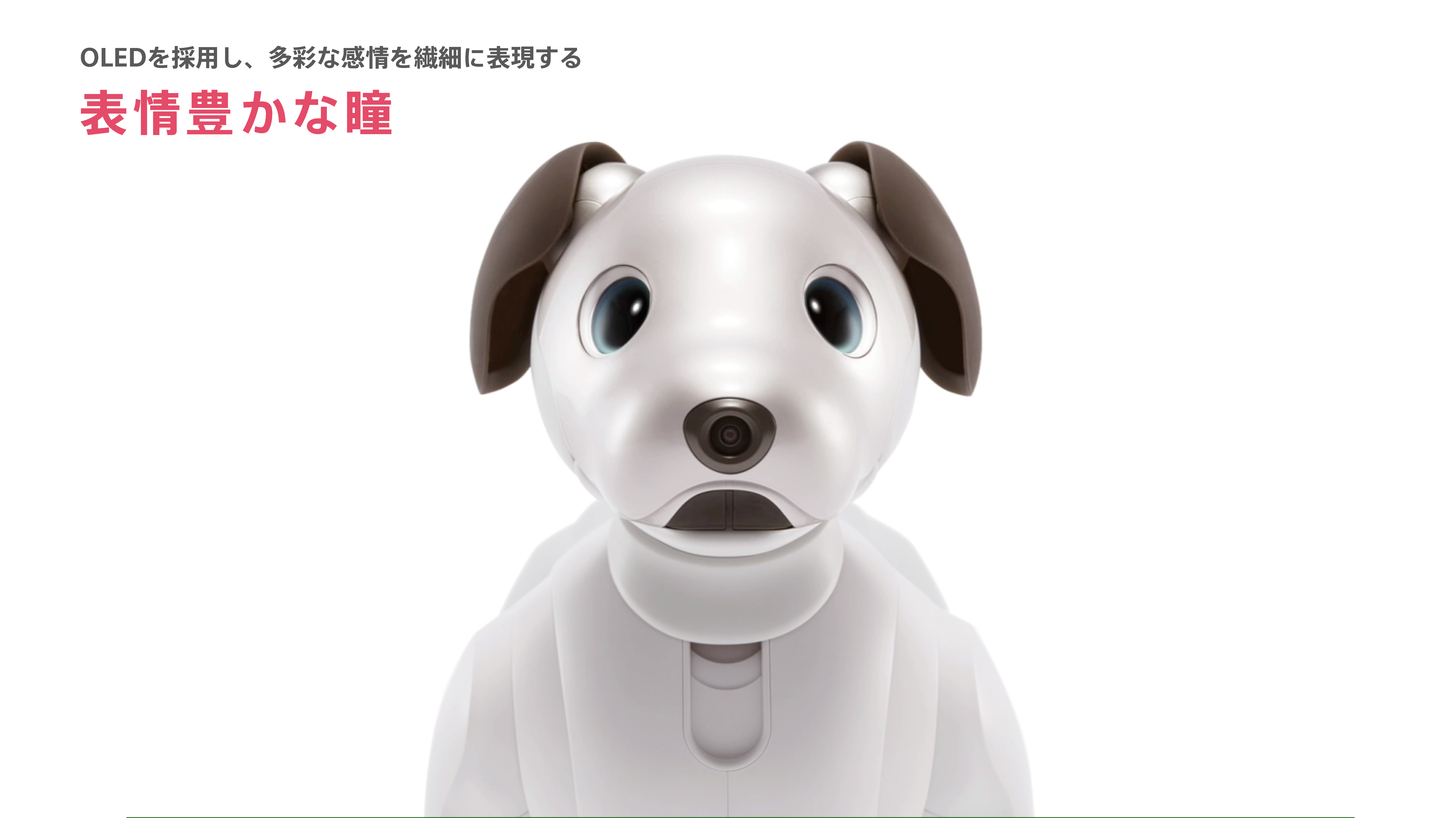 Next Field 3 愛くるしさ溢れる新生 Aibo 動きに 物語 と 生命感 を与えるモーションクリエイターたち インタビュー Cgworld Jp