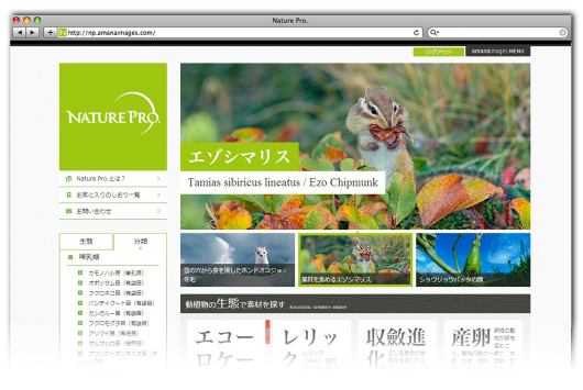 雑誌 書籍の企画 編集に役立つ自然 生物専門のストックフォトサイト Nature Pro オープン 専門家監修による信頼できる情報と写真 イラストを提供 アマナ