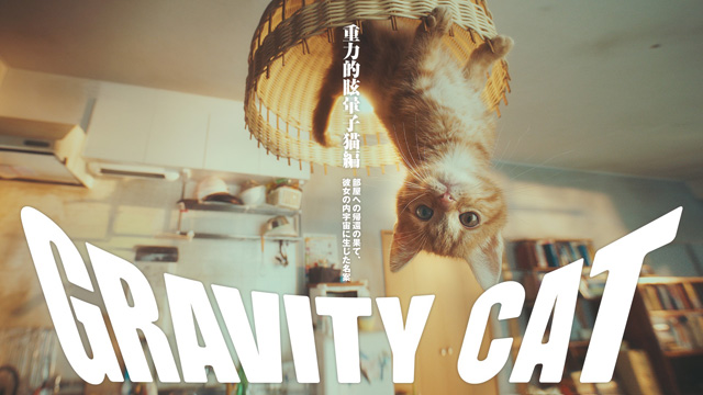 #重力猫『GRAVITY CAT / 重力的眩暈子猫編』PVが「ニューヨークフェスティバル2017」の2部門にてグランプリを受賞（東北新社）