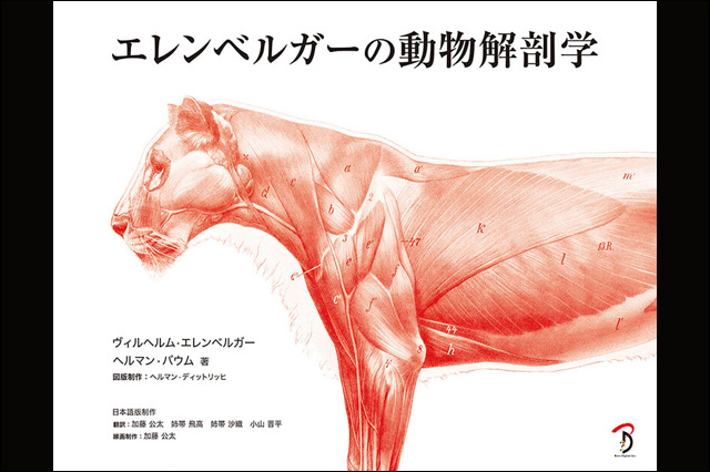 『エレンベルガーの動物解剖学』発売（ボーンデジタル）