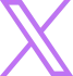公式X