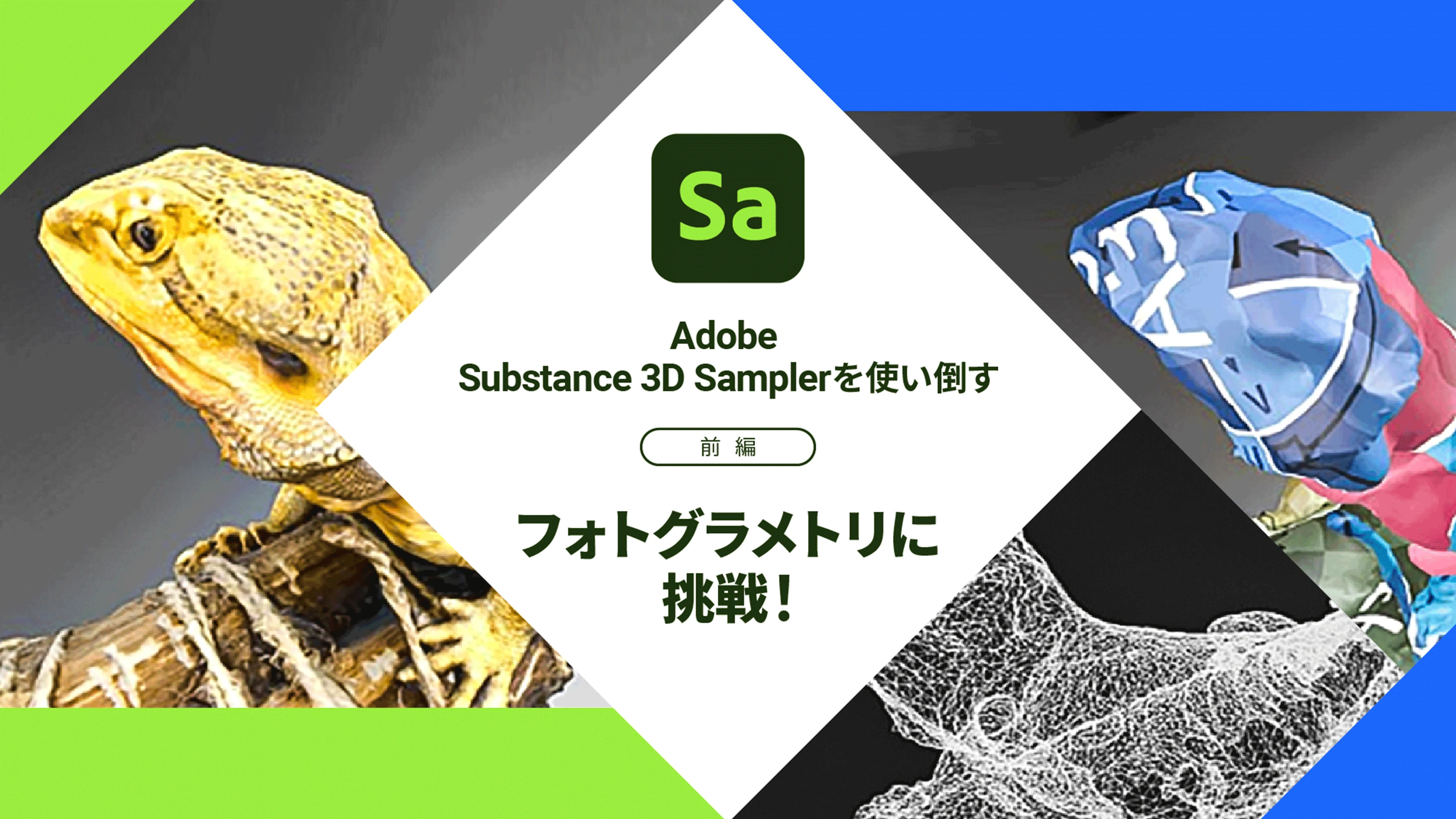 フォトグラメトリに挑戦