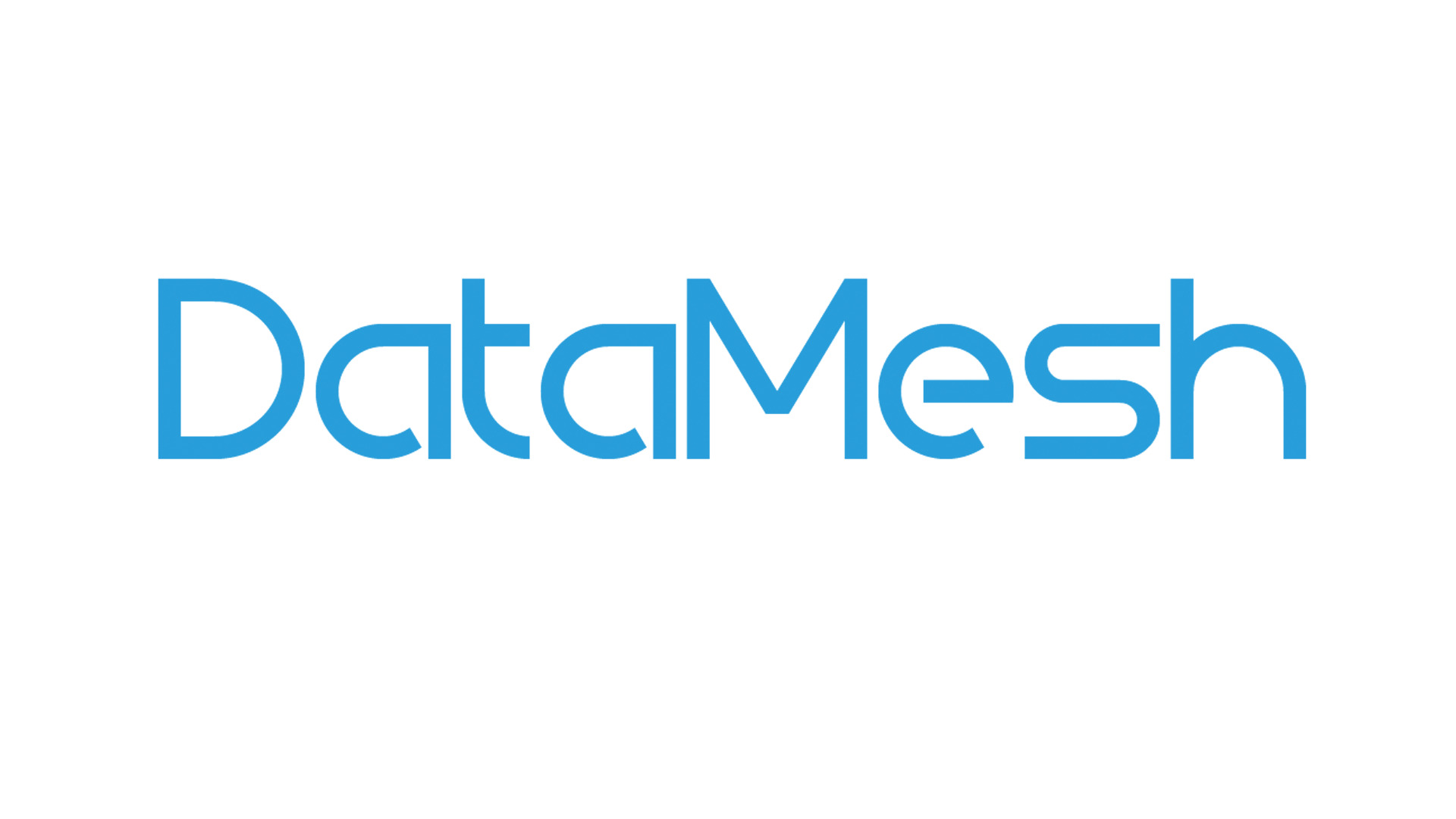 ロゴDataMesh Logo_blue